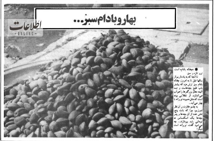 عکس | قیمت «چغاله بادام» ترمز برید!