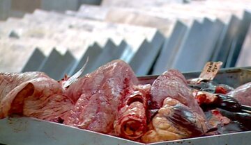 قیمت گوشت چرخ کرده گوسفندی 530 هزار تومان شد! + جدول