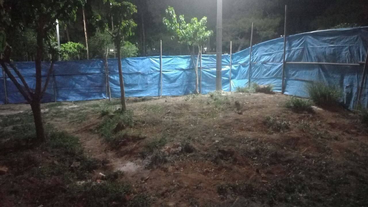 قطع درختان پارک ستارخان؛ زاکانی باز هم میخواهد مسجد بسازد؟