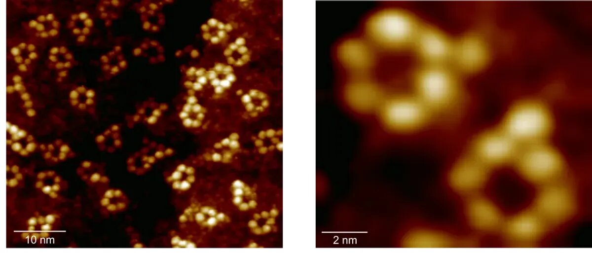 شرح عکس: اتم‌های روبیدیم، تصاویری از مجموعه‌های فوق‌مولکولی که دارای شش اتم روبیدیم و یک اتم آهن هستند.