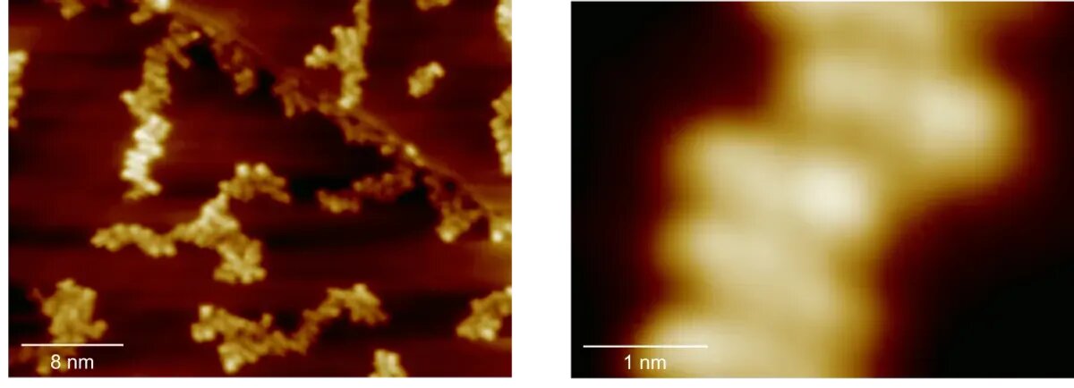 شرح عکس: میکروسکوپ تونلی روبشی مجموعه‌های فوق مولکولی تربیوم، با اتم تربیوم در مرکز هر ساختار.