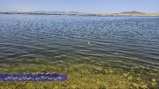 تصویر قایق سواری در دریاچه ارومیه خبرساز شد/ خوشحال شویم؟