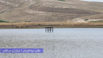 تالاب‌های پارک ملی دریاچه ارومیه در نقده