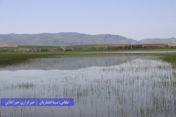 تالاب‌های پارک ملی دریاچه ارومیه در نقده