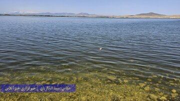 تصویر قایق سواری در دریاچه ارومیه خبرساز شد / خوشحال شویم؟