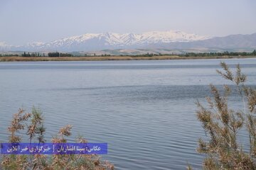 تالاب‌های پارک ملی دریاچه ارومیه در نقده