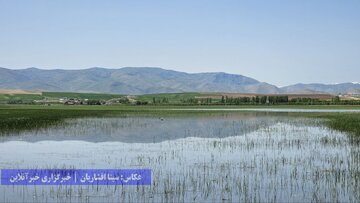 تالاب‌های پارک ملی دریاچه ارومیه در نقده