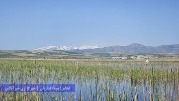 تالاب‌های پارک ملی دریاچه ارومیه در نقده