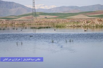 تالاب‌های پارک ملی دریاچه ارومیه در نقده