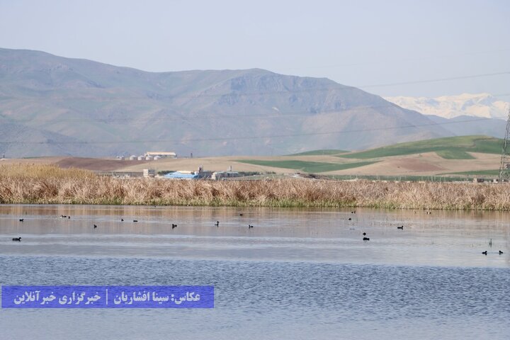 تالاب‌های پارک ملی دریاچه ارومیه در نقده