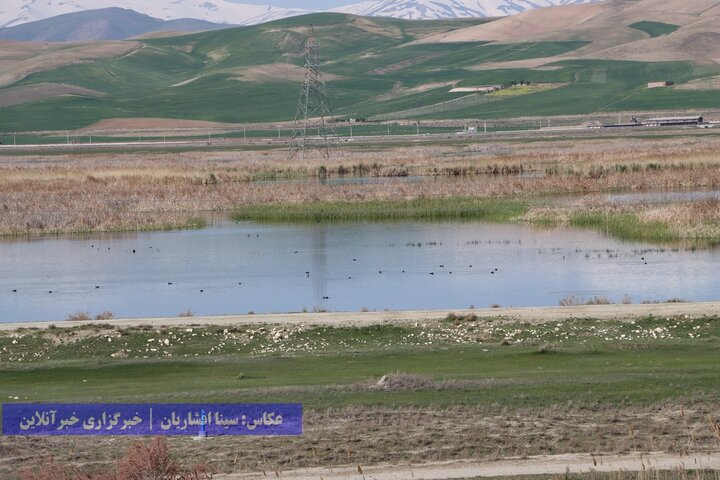 تالاب‌های پارک ملی دریاچه ارومیه در نقده