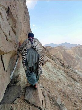 شکار یک پلنگ ایرانی در پاکستان / عکس 2