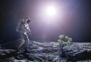 زراعت پنبه و کلزا روی ماه، چگونه آینده بشر را شکل می‌دهد؟