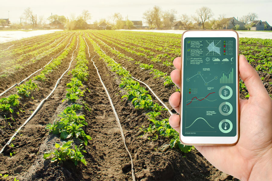 آیا می توان گیاهان را به صورت خودکار آبیاری کرد؟