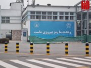 آیا حذف زبان فارسی در افغانستان ممکن است؟