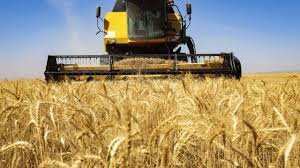 Iran’s agricultural export up $1 billion in one year