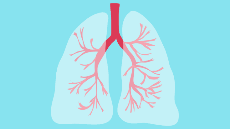 «آموزش، کنترل آسم را بهبود می‌دهد»؛ شعار راهبردی روز جهانی آسم در سال ۲۰۲۴