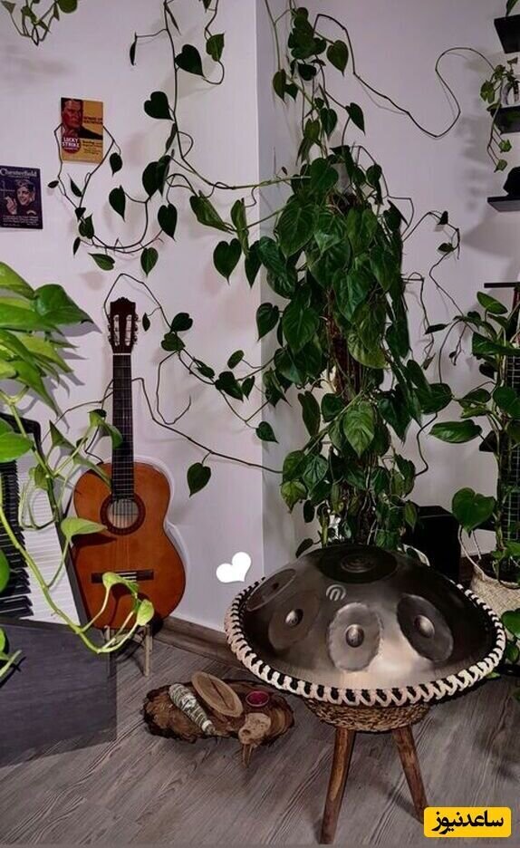 عکس | نگاهی به دکوراسیون جدید خانه سرسبز ستاره معصومی همسر سابق مهدی قایدی