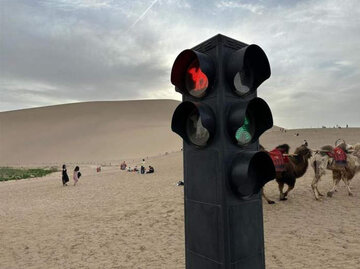 نصب چراغ راهنمایی و رانندگی در صحرا ویژه شترسوارها/ عکس