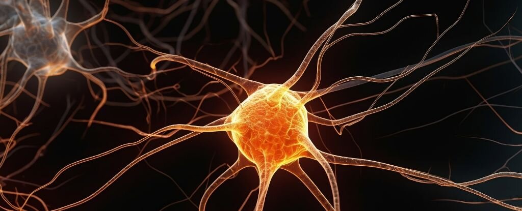 ناامیدی با مغز ما چه کار میکند