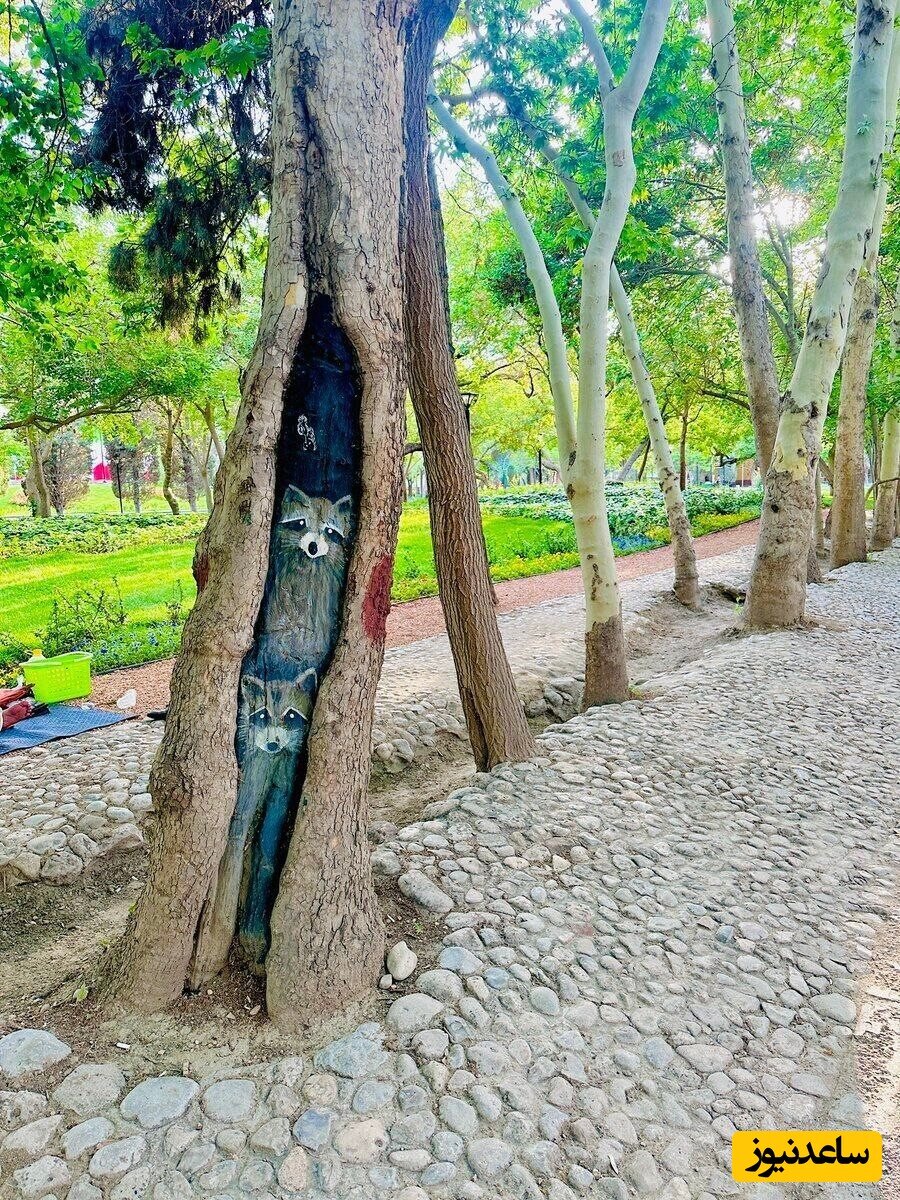 عکس | حرکت عجیب شهرداری مشهد در یک پارک؛ نقاشی‌های ترسناک روی درختان