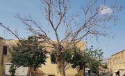 ببینید | تصاویری از قدرت طوفان در ایتالیا