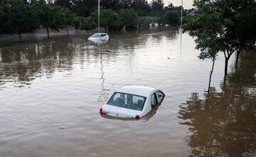 سیلاب وحشتناک در خیابان‌های مشهد؛ خودروها را آب برد / اعزام تیم‌های غواصی