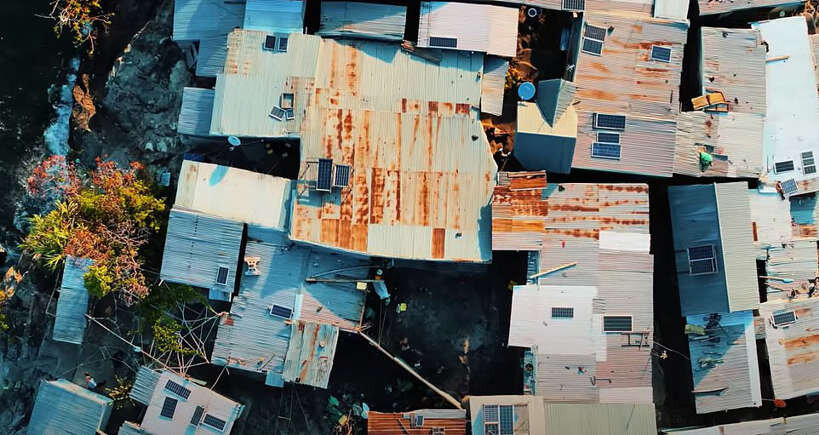 کوچکترین و پرجمعیتترین جزیره جهان/ جزیرهای شبیه لاکپشت زرهپوشی/ عکس