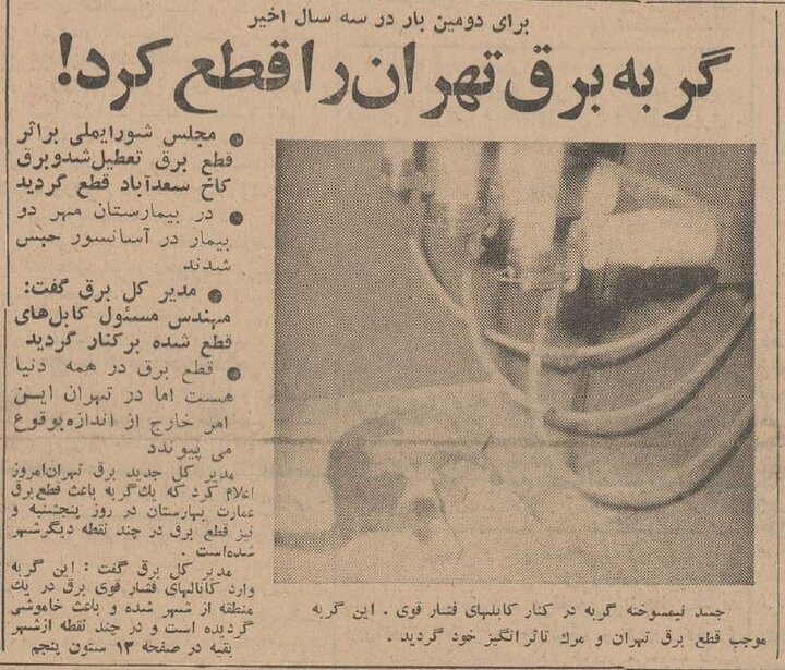 یک گربه برق تهران را قطع کرد