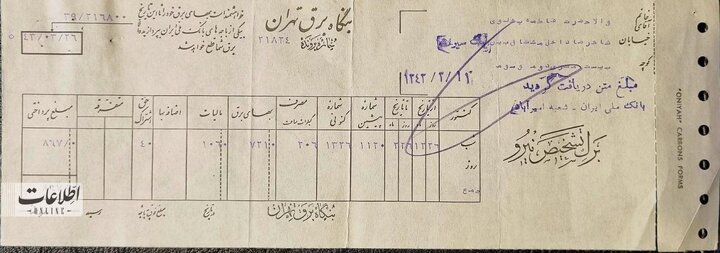 یک گربه برق تهران را قطع کرد