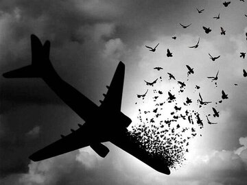 ماجرای سانحه هوایی برای محسن رضایی و احمدی نژاد / پروازهایی که «آسمانی» ماندند