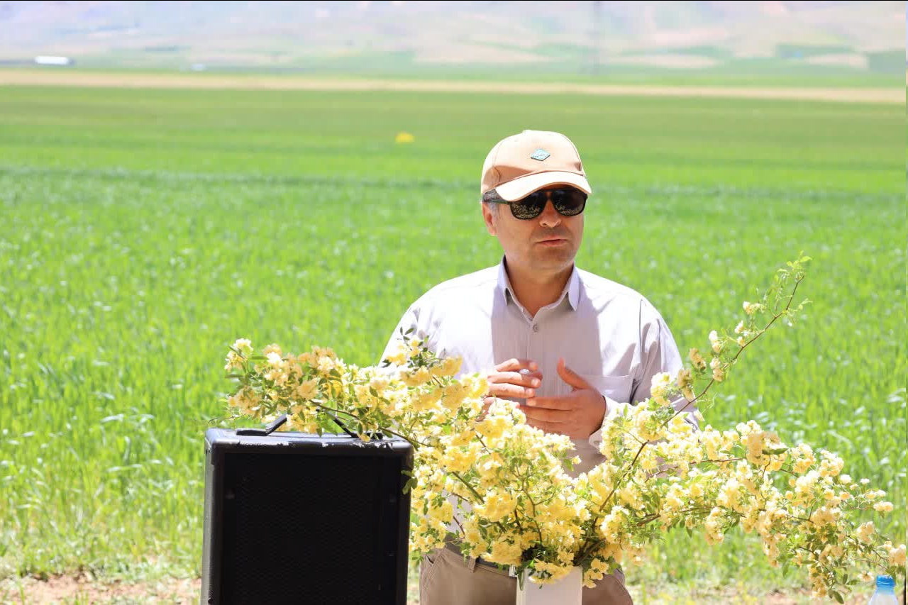 اجرای طرح جهش تولید در ۶۱ هزار هکتار از اراضی دیم چهارمحال و بختیاری