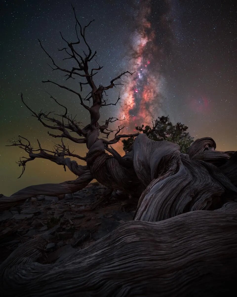 تصاویر | راه کاهکشان در آیینه دریاچه