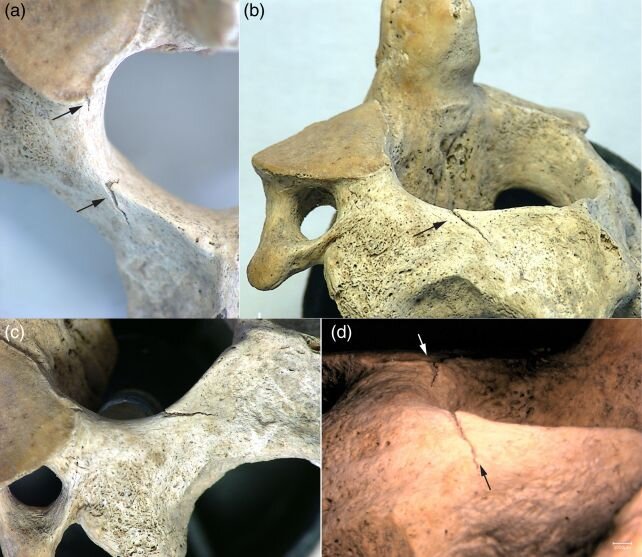 زنی که به شکل وحشیانهای کشته و پیشکش شد!/ عکس