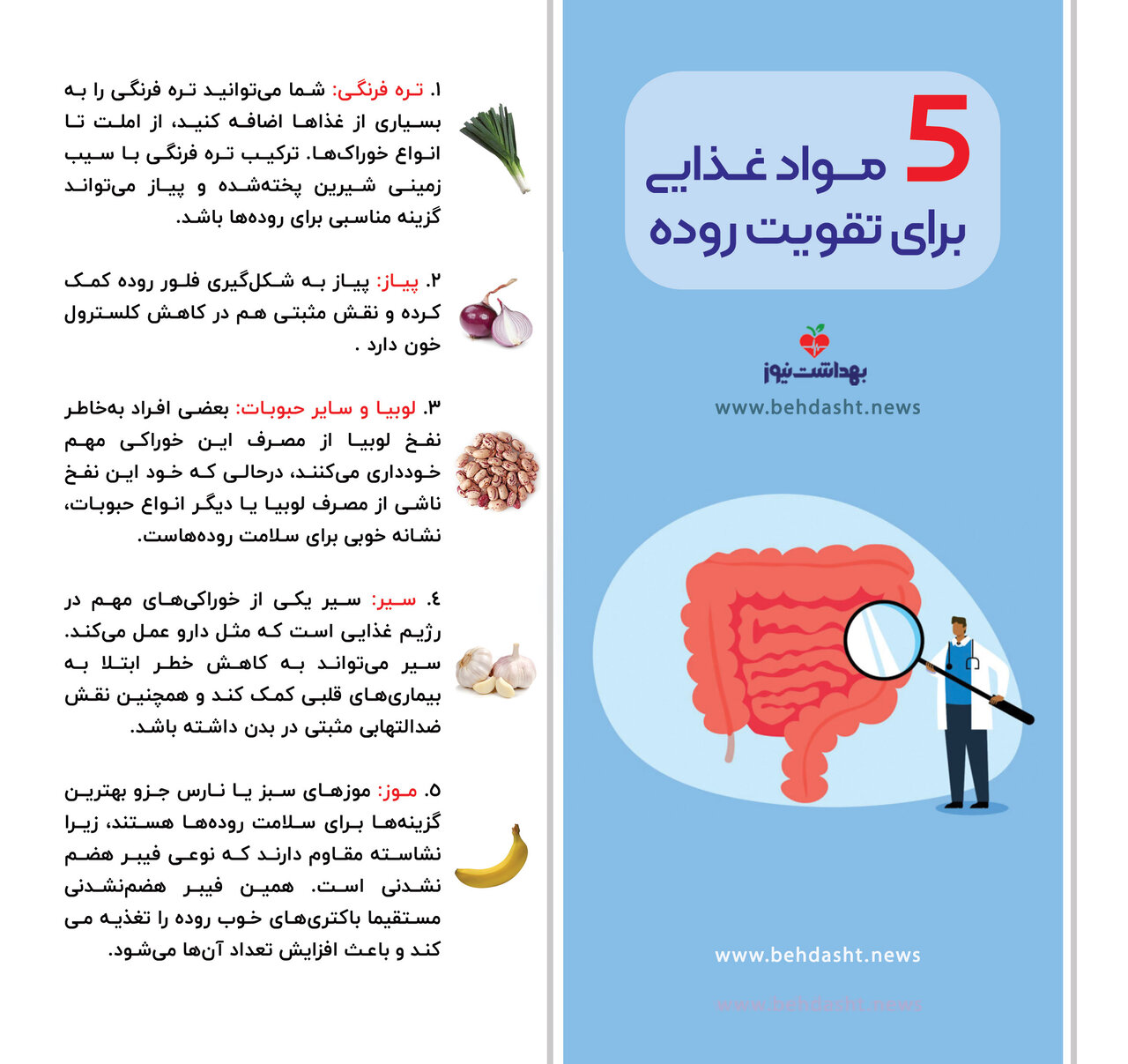 ۵ مواد غذایی برای تقویت روده