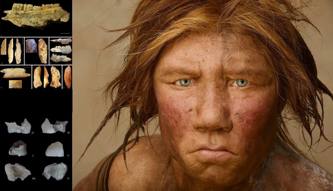 راز انقراض انسانهای نئاندرتال کشف شد