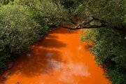 ماجرای جاری شدن آب پرتقال سمی در رودخانه‌ها چیست؟