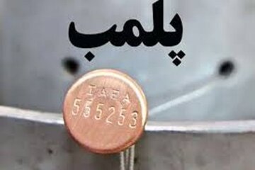 کافه سگ‌ها در تهران پلمب شد / عکس