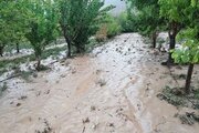 خسارت ۳۴۵ملیاردی سیلاب به بخش کشاورزی قزوین