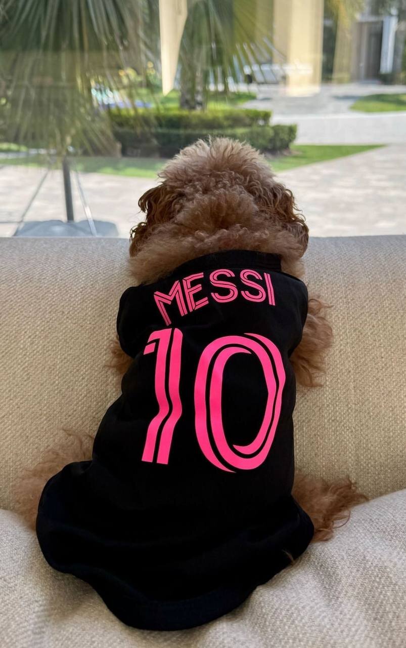 عکس| این سگ عاشق لیونل مسی است!