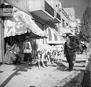 گذرگاه تاریخ /  باربری با الاغ در چهارراه استانبول و مژدگانی ۵۰ تومانی!/ عکس