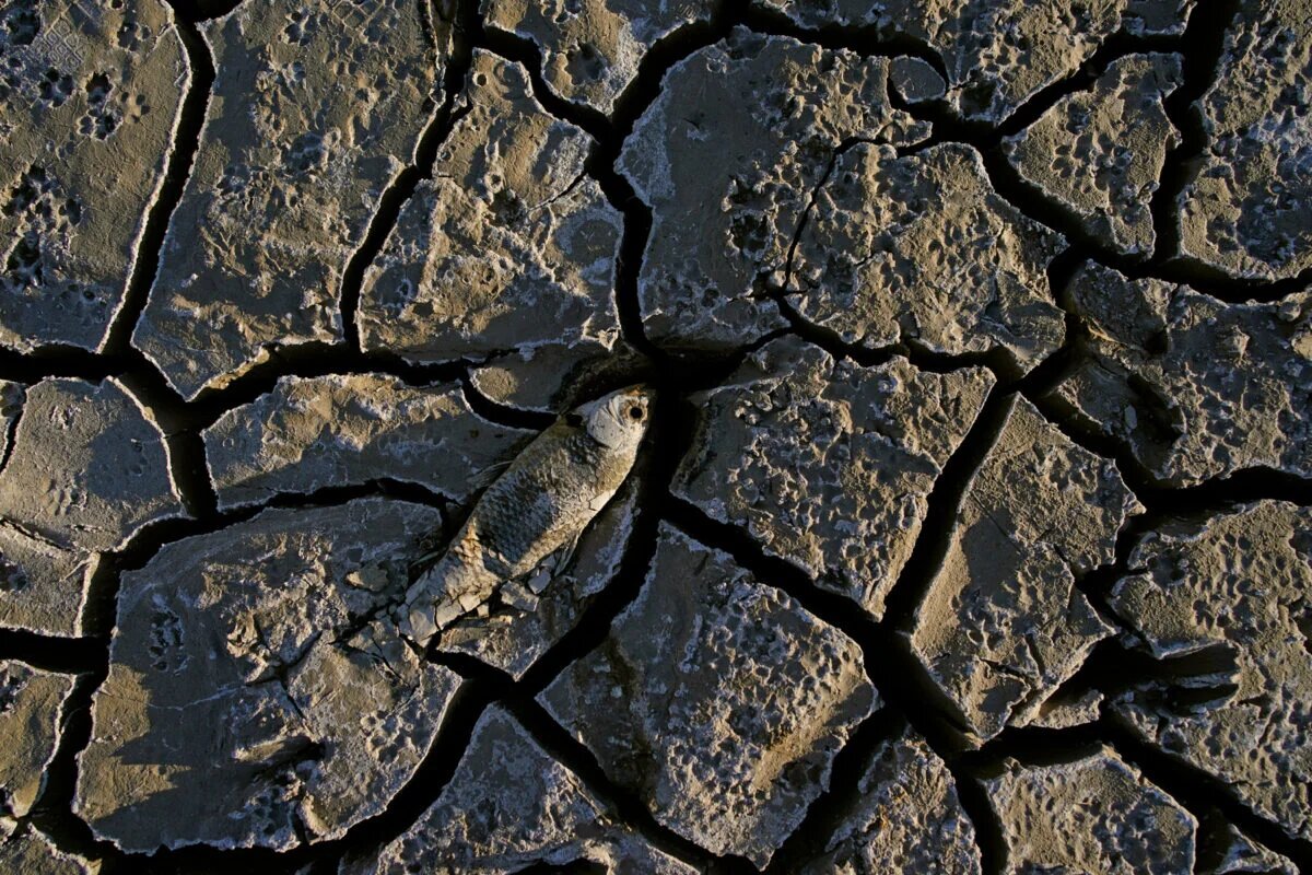 کدام ترسالی؟ در حال حاضر کمبود جدی آب داریم/ در این استان‌ها بارش‌ها زیر نرمال بوده است/  وارد چهارمین سال خشکسالی شده‌ایم/ منتظر تابستان گرم باشیم