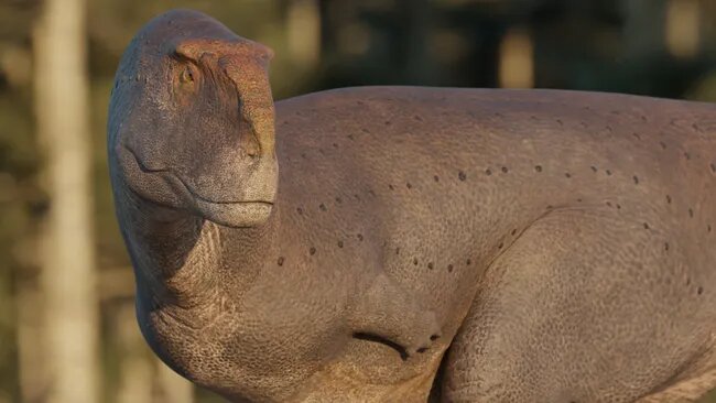 دست دایناسور را در عکس پیدا کنید/ دایناسوری که از تیرکس هم بیدستتر بود!