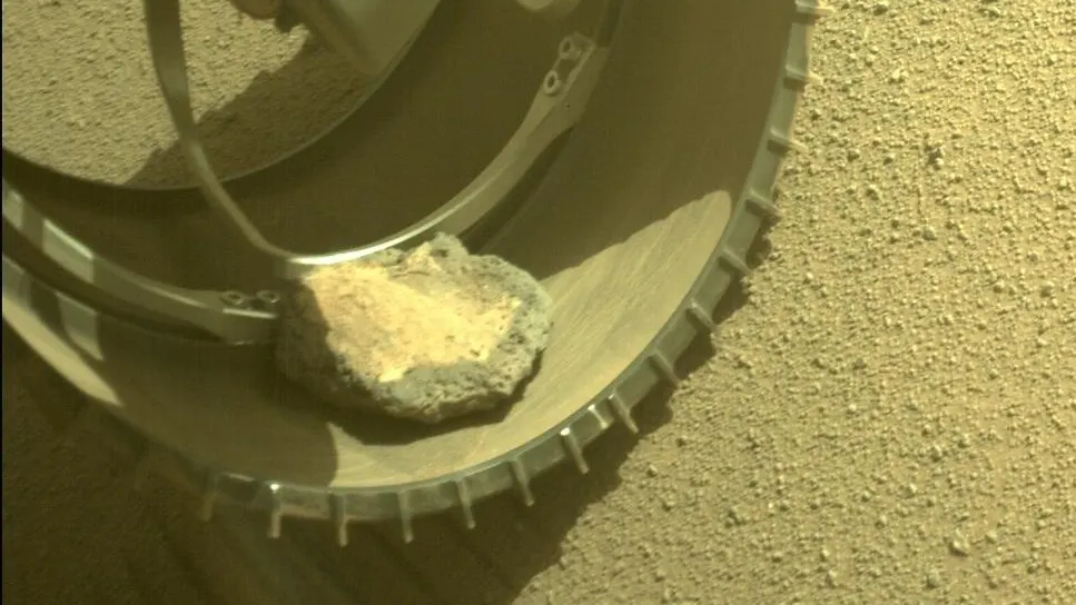 حیوان خانگی مریخنورد ناسا در سیاره سرخ!/ عکس