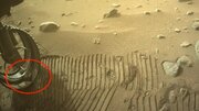 مریخ‌نورد ناسا در خاک مریخ حیوان خانگی پیدا کرد!/ عکس