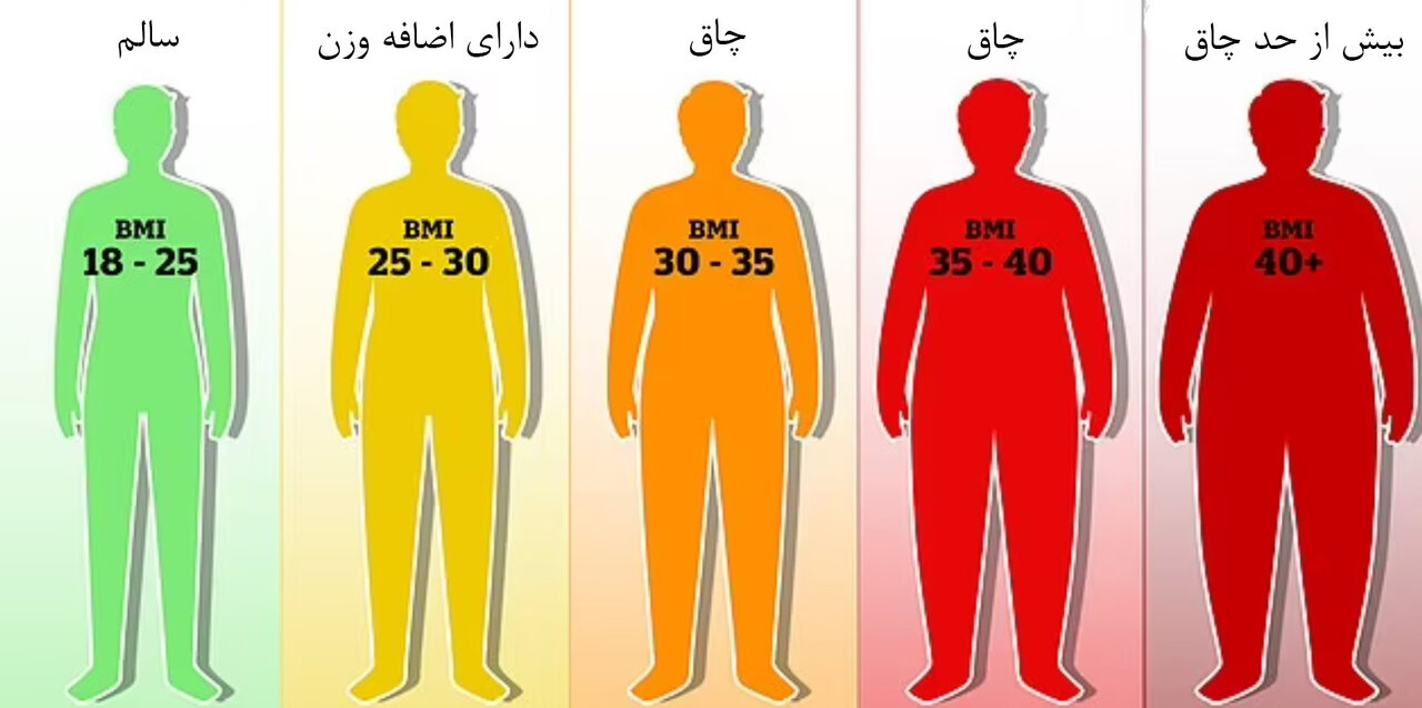 نتایج مهم یک تحقیق؛ شاخص توده بدنی (BMI) آنقدر دقیق نیست/ چرا به BMI اعتماد نکنیم؟