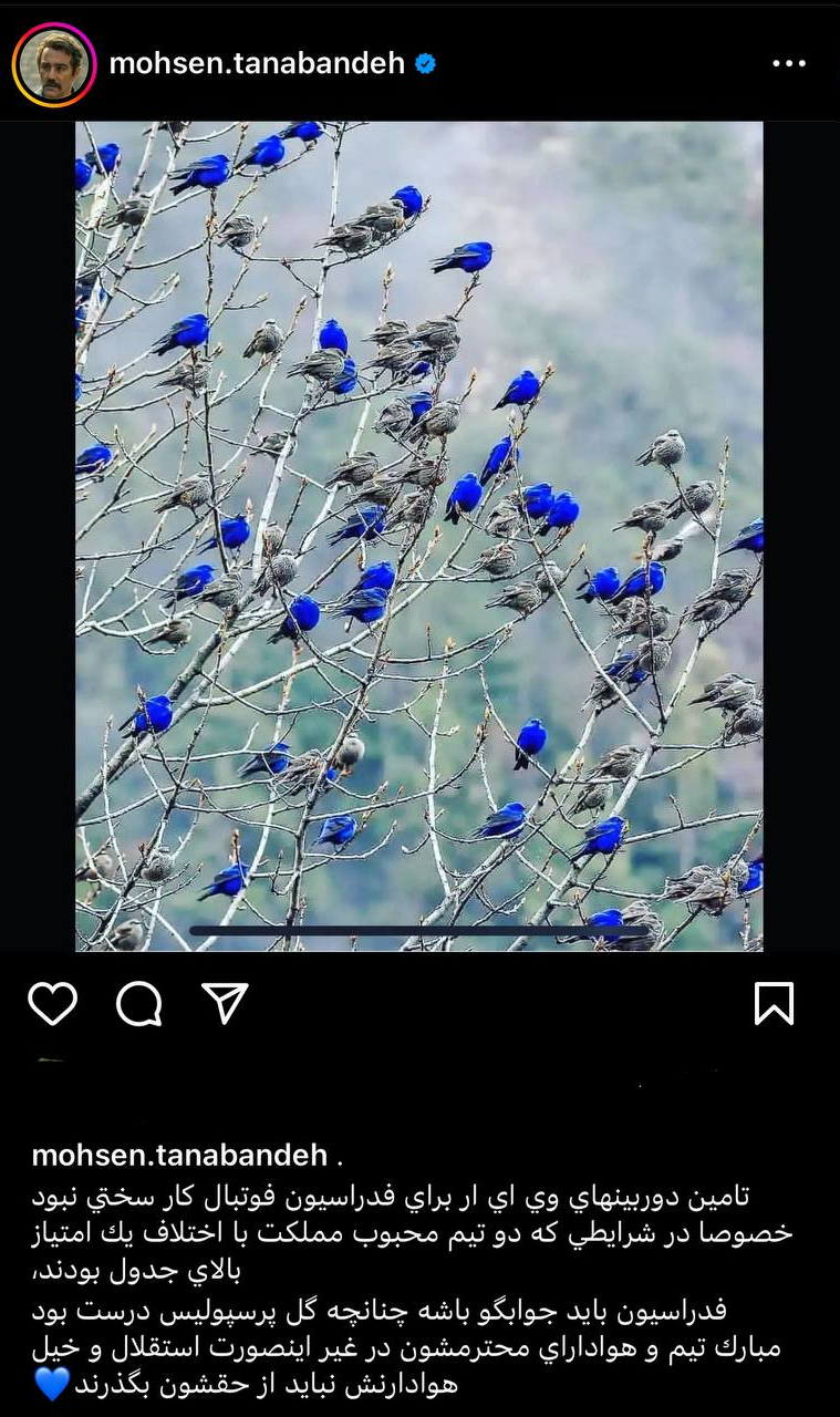 عکس | دلنوشته نقی معمولی برای استقلال