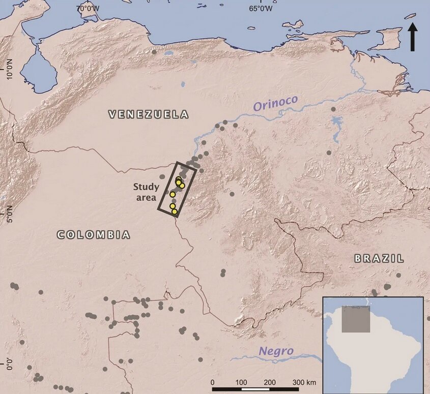 کشف مارهای ۴۰ متری با قدمت ۲۰۰۰ سال / عکس