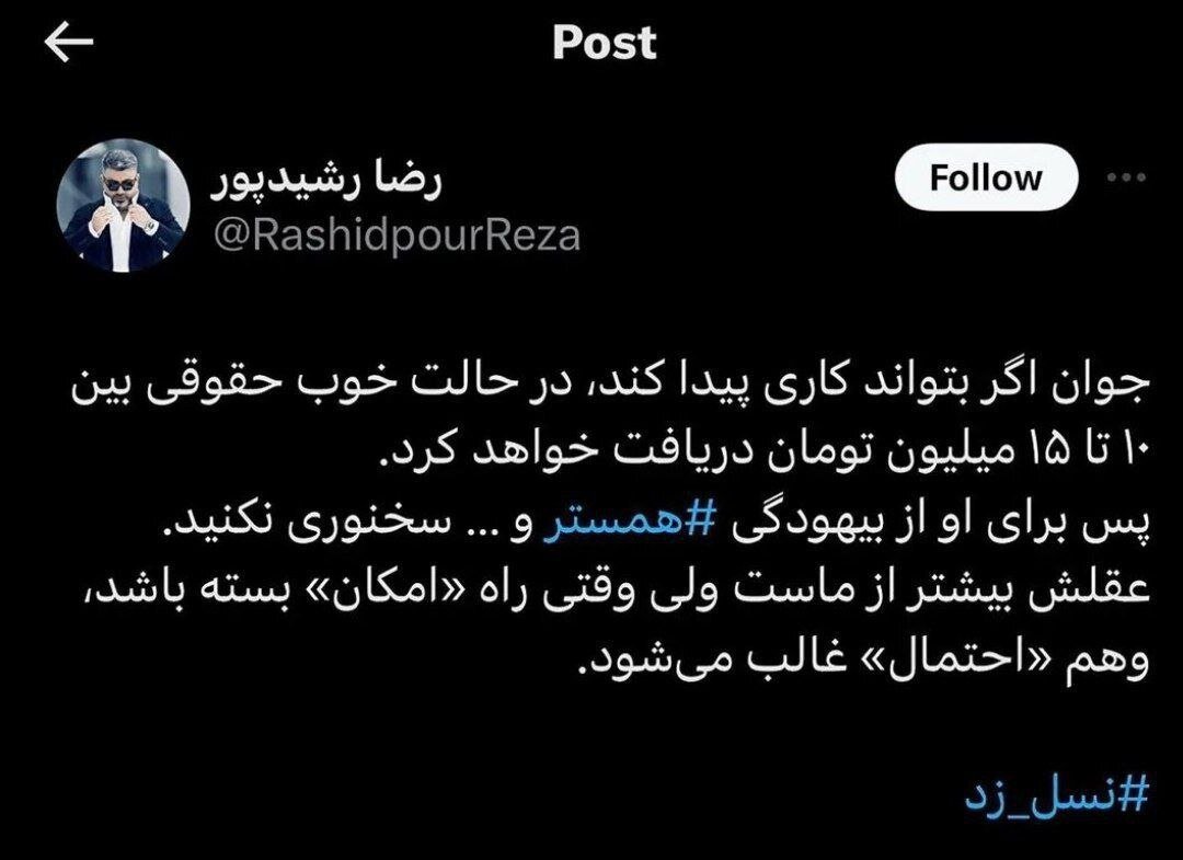 واکنش رضا رشیدپور به همستر پولساز و پرحاشیه تلگرام