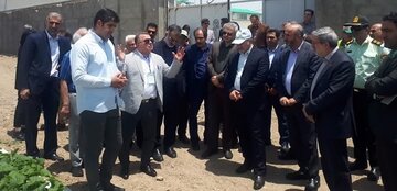 بهرهبرداری از بزرگترین مجتمع تحقیقاتی گلخانهای تولید بذرهای هیبرید در آبیک